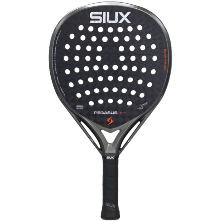Siux Pegasus Pro 2026
