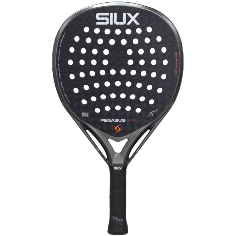 Siux Pegasus Pro 2026