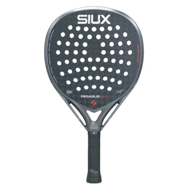 Siux Pegasus Pro Gris Tempete 2026